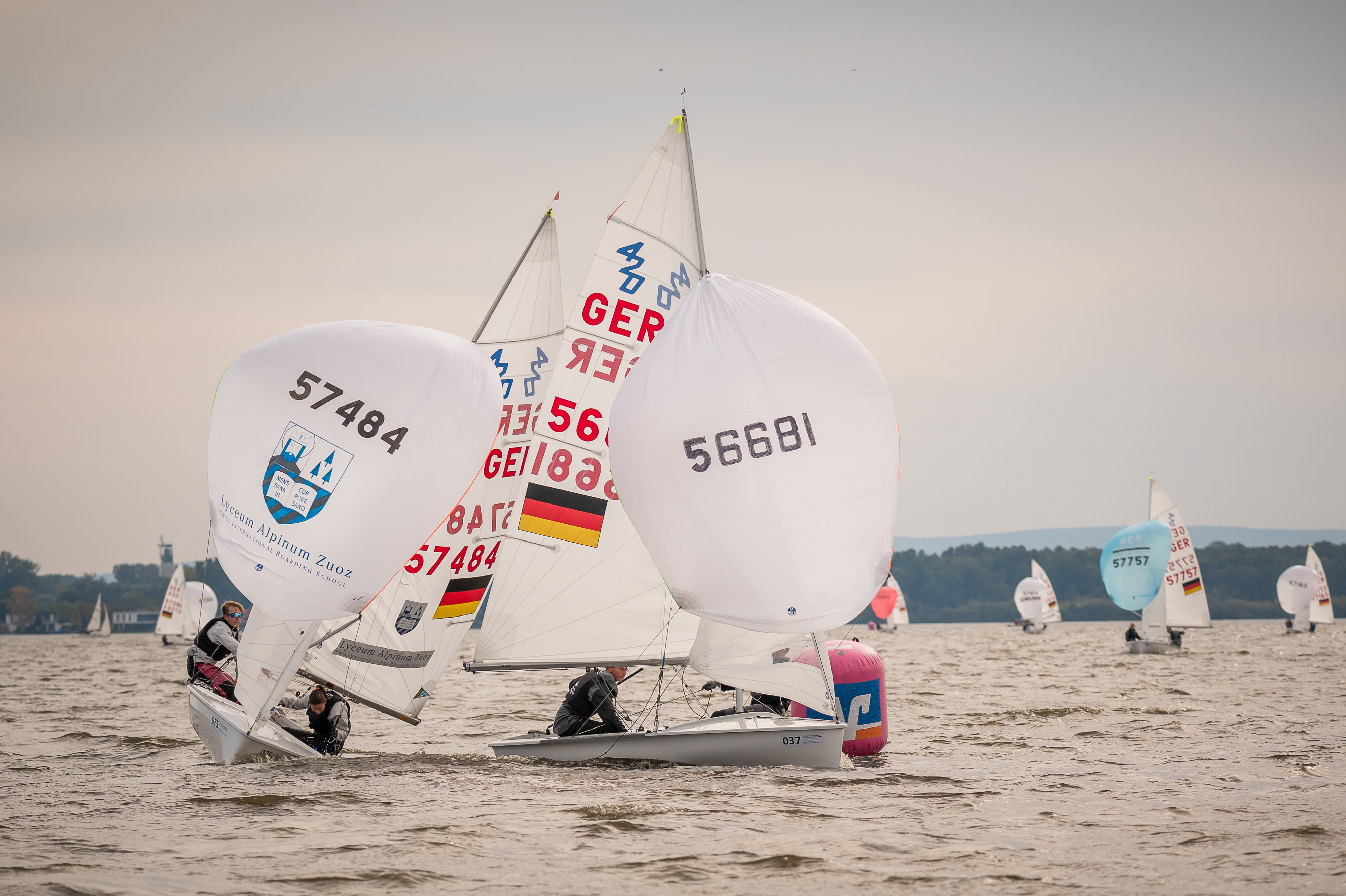Mehrere 420er mit Spinnaker beim Regattasegeln